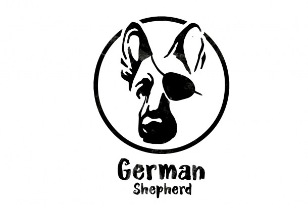 3 Pirate German Shepherd (1820x1214)